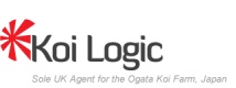 Koi Logic Logo